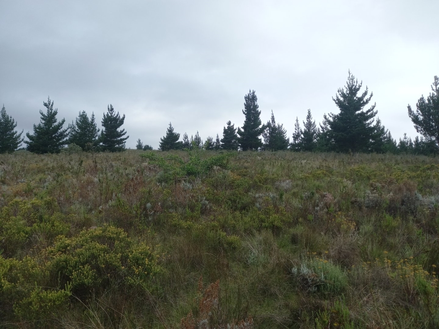  Bedroom Property for Sale in Riversdale Rural Western Cape